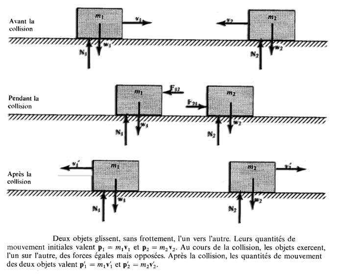 Mise à jour 101+ imagen la formule de la force fr.thptnganamst.edu.vn